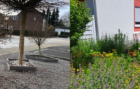 Schottergarten links, Blühgarten rechts