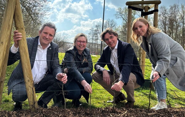 Sparkasse Aachen spendet Hainbuchen-Setzlinge