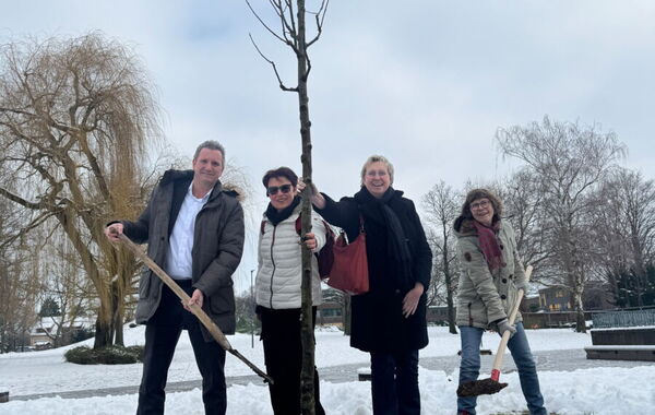 Lions Club pflanzt Mehlbeere