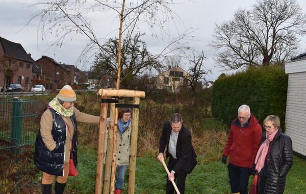 Lions Club spendet Moorbirke