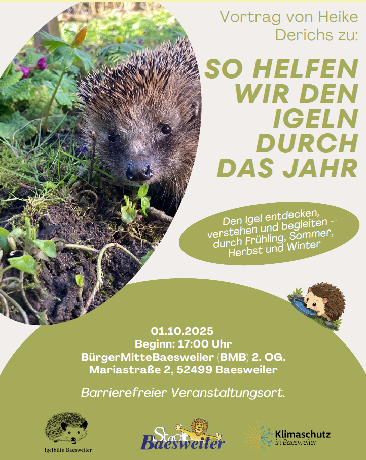 Vortrag der Igelhilfe am 01.10.26 um 17.00 Uhr in der BürgerMitteBaesweiler