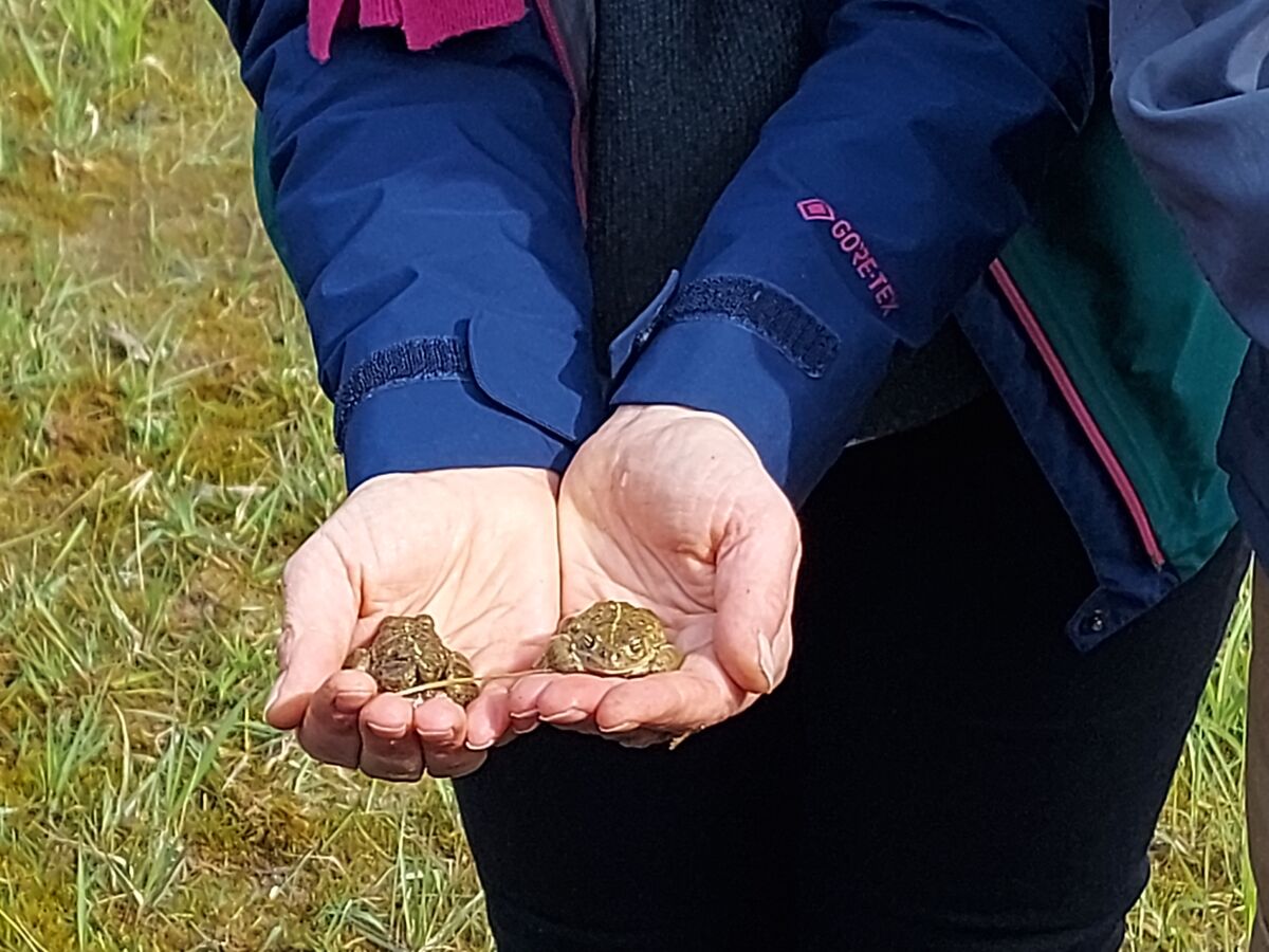 Führung durch die Kiesgrube der Fa. Schlun