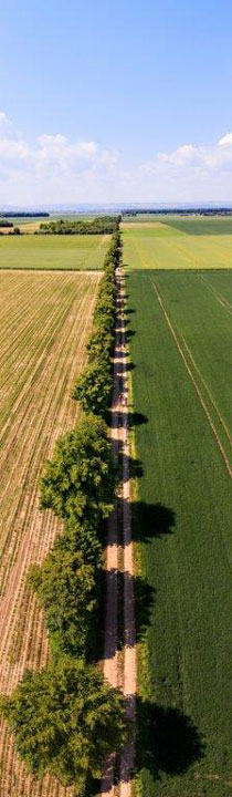 Foto der Via Belgica