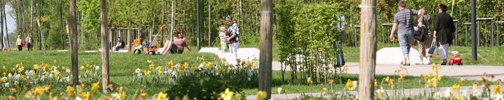 Narzissen und Besucher am CAP